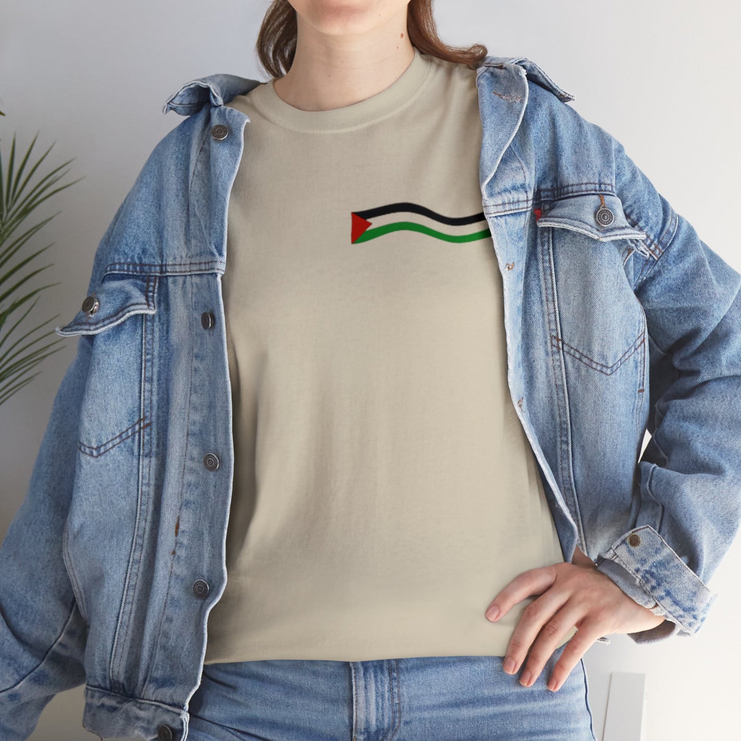 Support Palestine