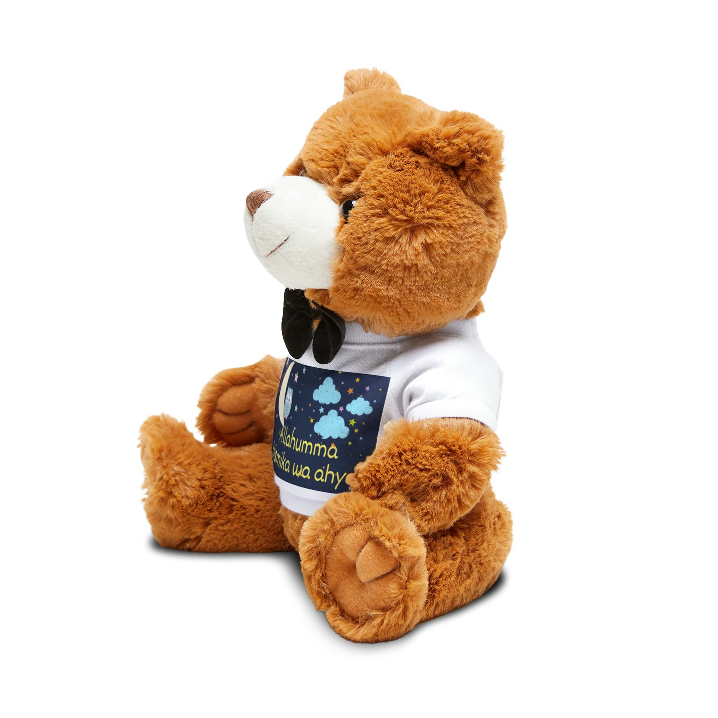 Teddy Bear Plush