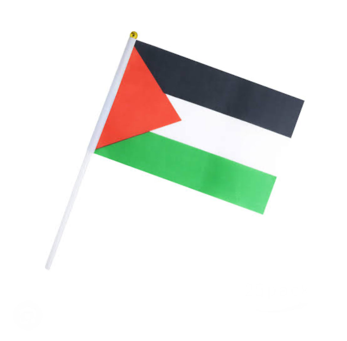 Mini Palestine Country Flag